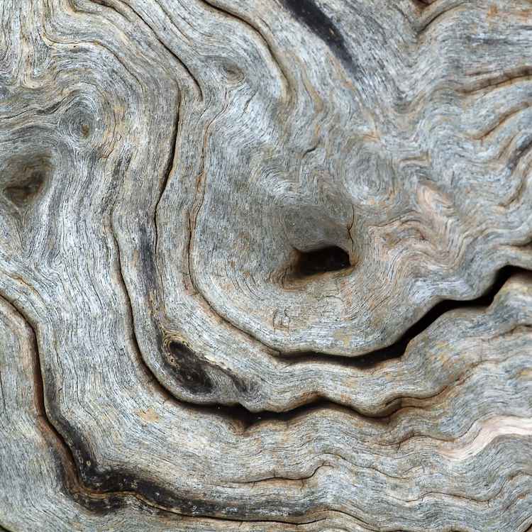 Holzstruktur
