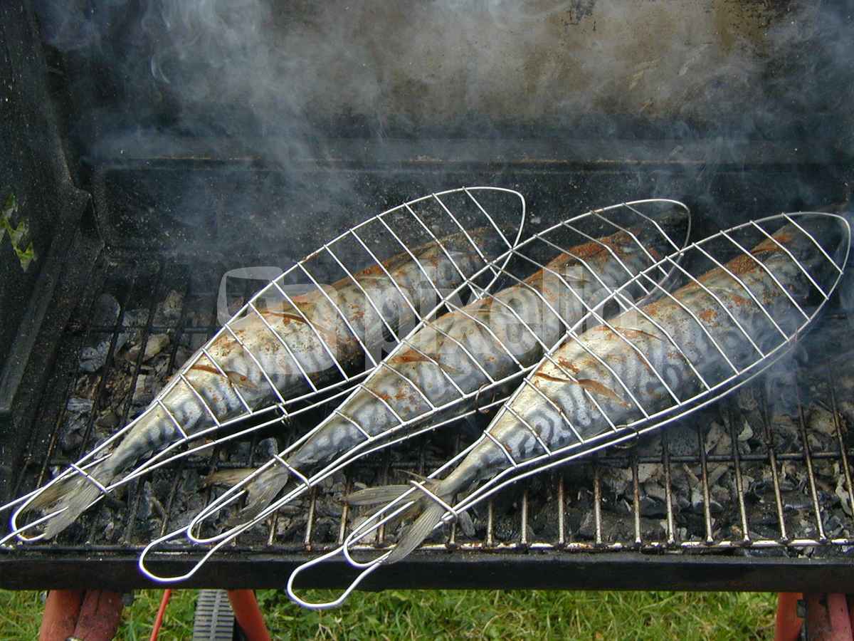 Gegrillter Fisch