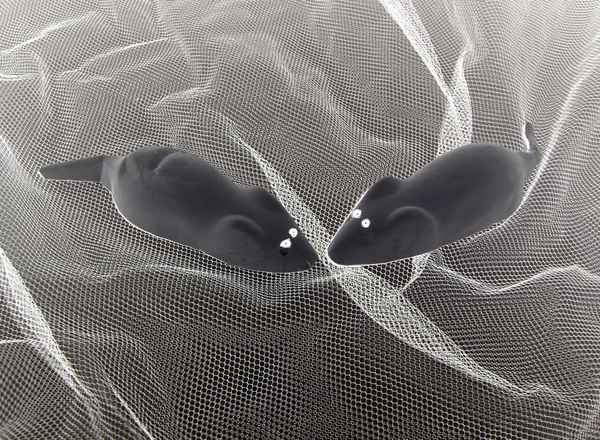 zu dir oder zu mir ?