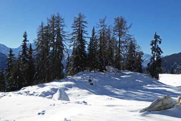 Die erste Schneewanderung / 3