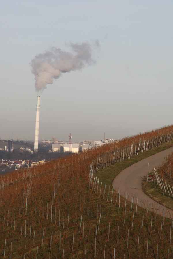Blick vom Weinberg auf die Müllverbrennung