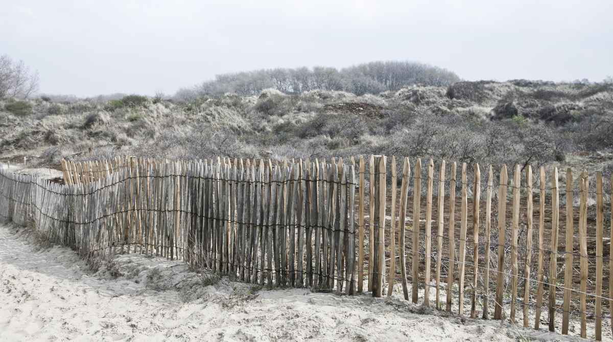 Naturschutzgebiet in De Panne Belgien 2