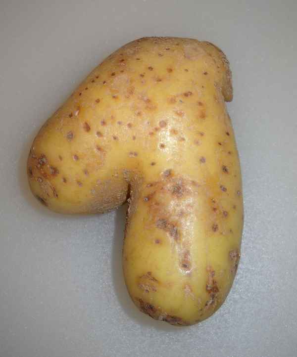 Unser Grundnahrungsmittel Nummer ...