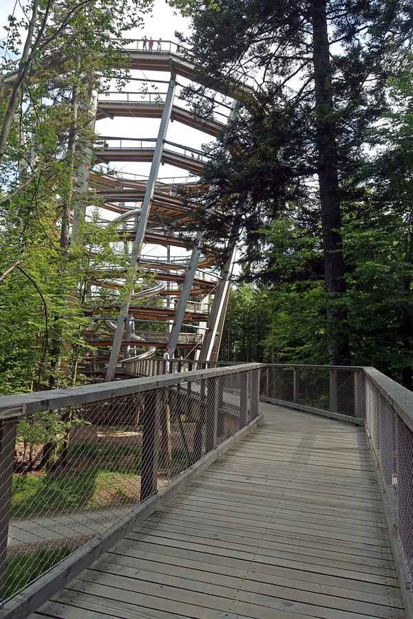 Baumwipfelpfad -2, Bad Wildbad