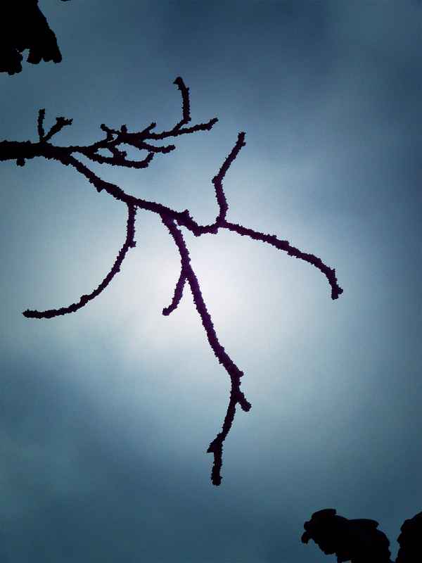 Winter .
