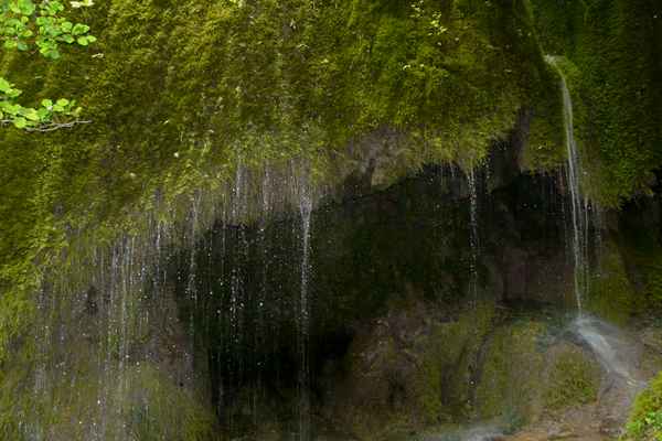 Naturdenkmal Dreimühlen-Waserfall bei Nohn (Vulkaneifel) #8