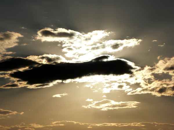 Sunshine Of Your Love