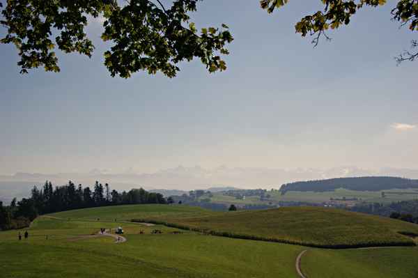 Aussicht vom Gurten