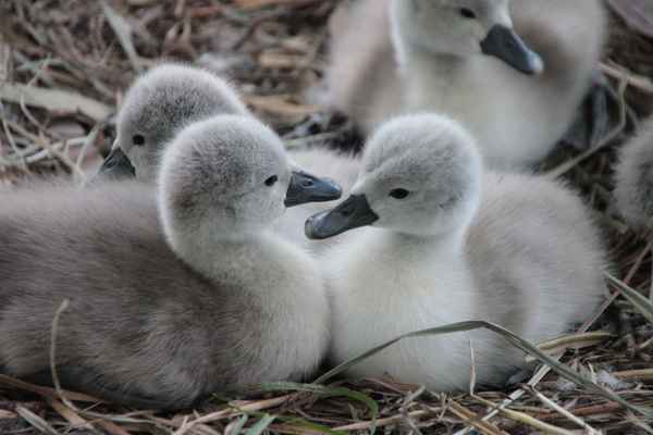 ich muss dir was erzählen ...