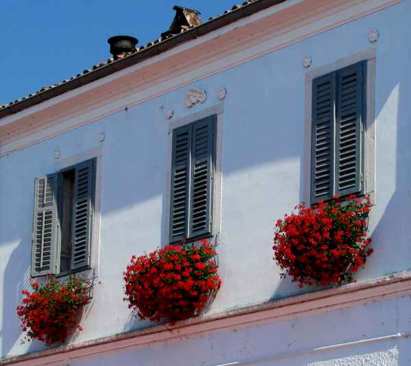 Blumenfenster