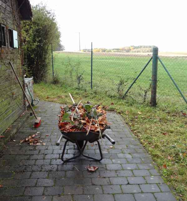 Herbst