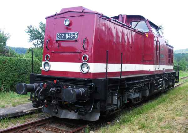 Lok 202 646-6