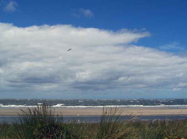 Langeoog