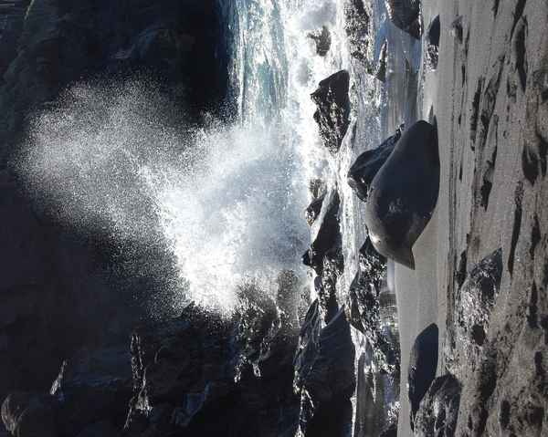 Der Fels in der Brandung