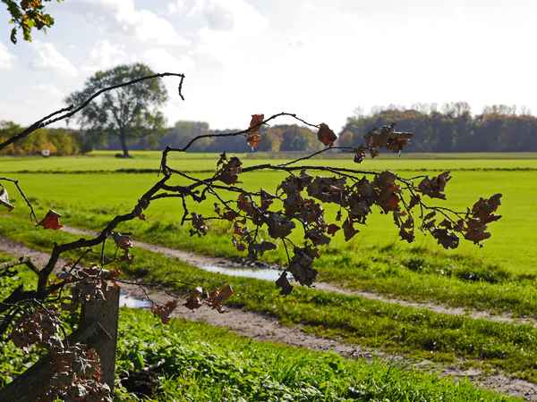 Die Flächen sind noch grün, . . . .