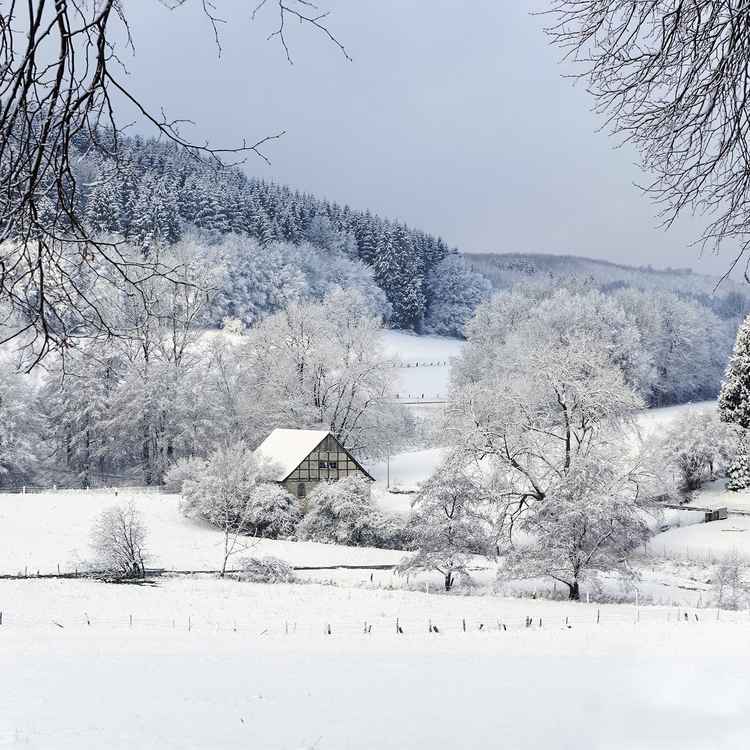 Die Bollmühle im Teutoburger Wald
