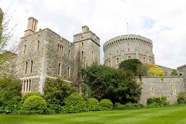 Königlicher Anblick