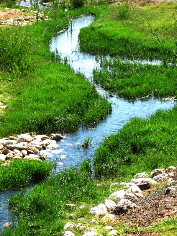 Wasser ist Wachstum und Leben