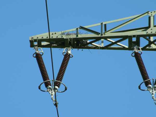 Vogelnest mit Stromanschluß