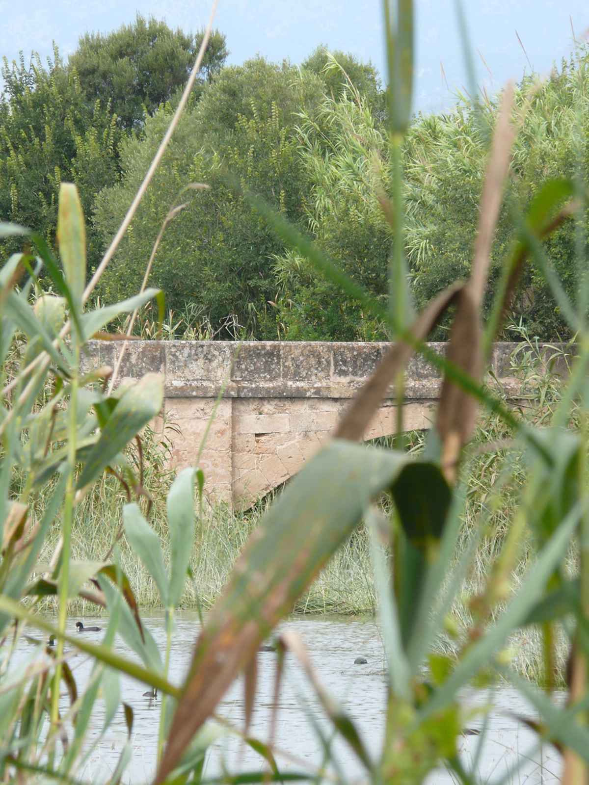 alte Brücke