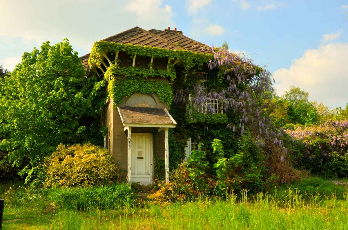 traumhaus