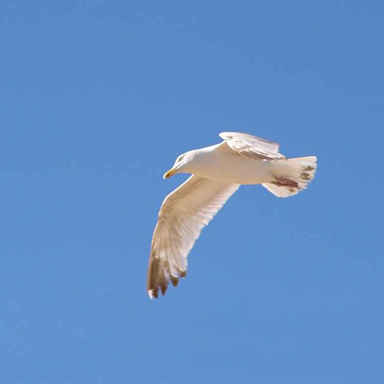 Immer schön zielstrebig bleiben...