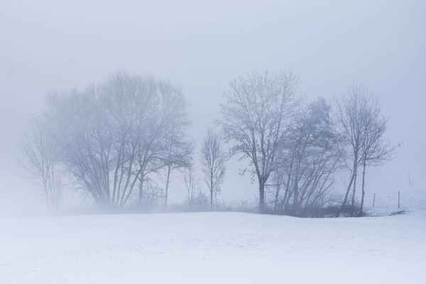Winter-Illusion