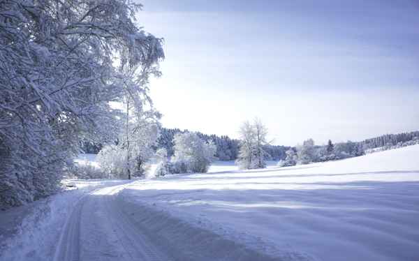 Wintertraum mit Neuschnee
