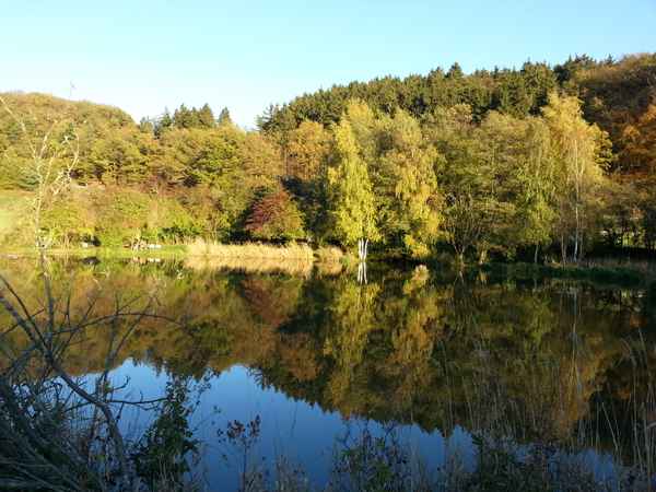 Herbst am See