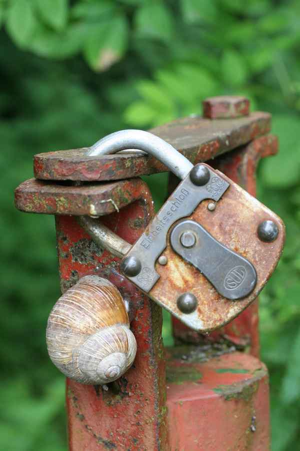 Ein Schneckenhaus hat ja jeder -