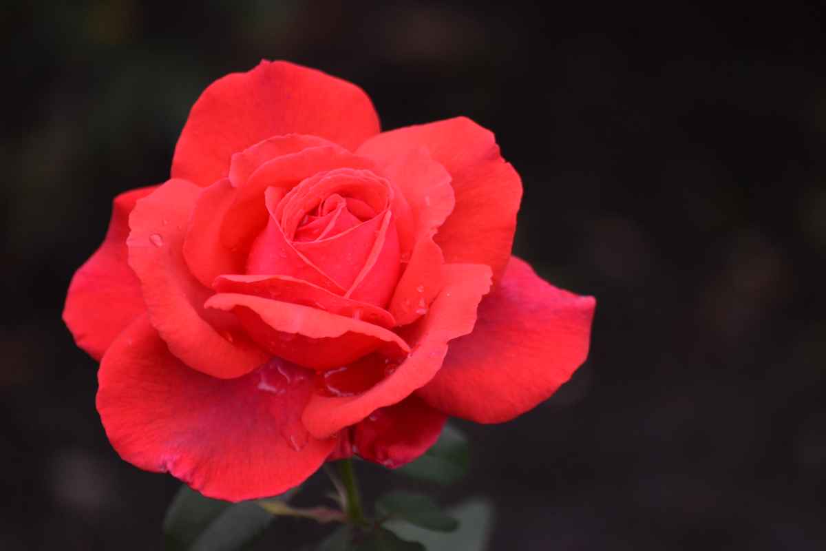 Ästhetischer Wasserspeicher