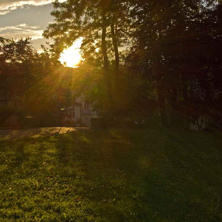 Sonnenuntergang im Park