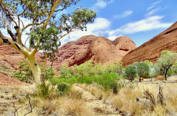 Kata Tjuta 1
