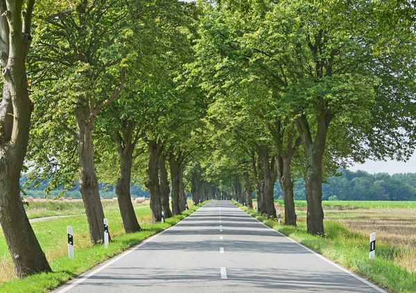 Landstraße in Mecklenburg