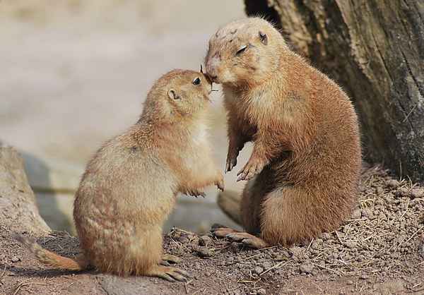 schatz ... ist doch gut !!!