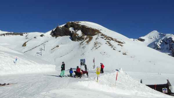 Schynenblatten ob Grindelwald
