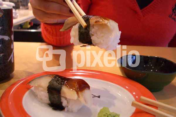 Sushi01