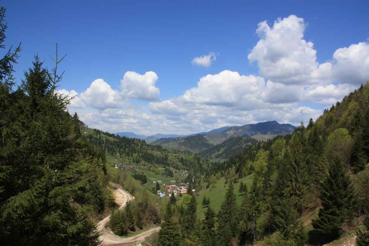 Talblick