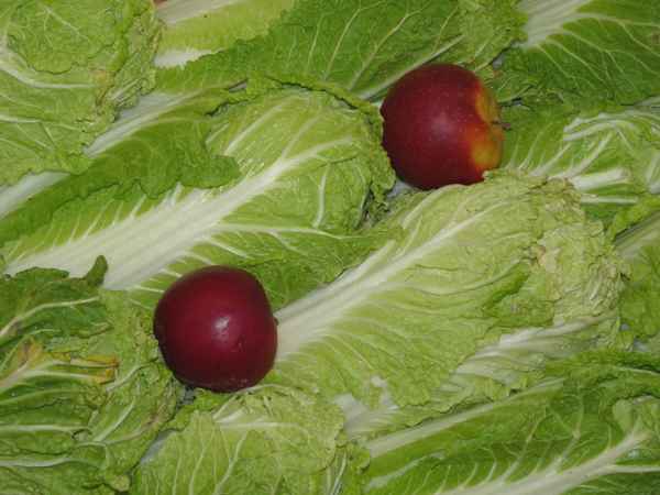 Apfel + Kohl