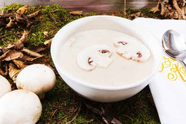leckere Pilssuppe