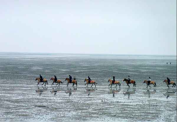 Entspannung am Meer ...