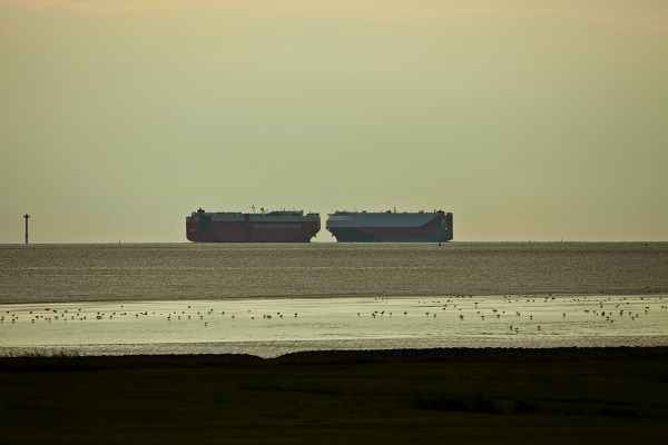 Begegnung zweier Riesen