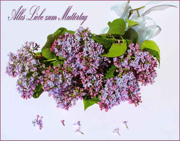 ALLES LIEBE IV