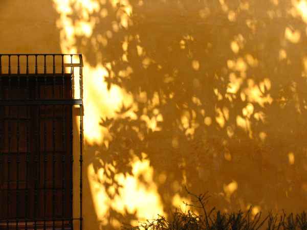 Schattenspiel in spanischem Innenhof