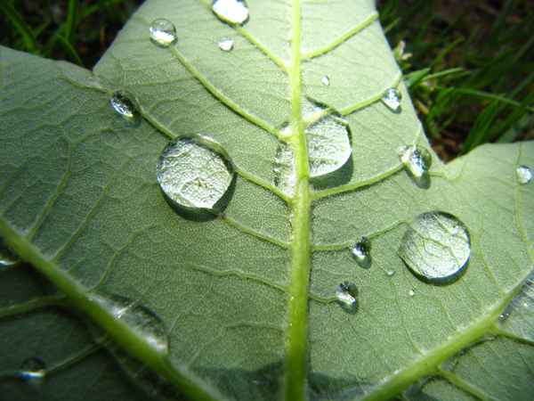 Regenspuren am Boden