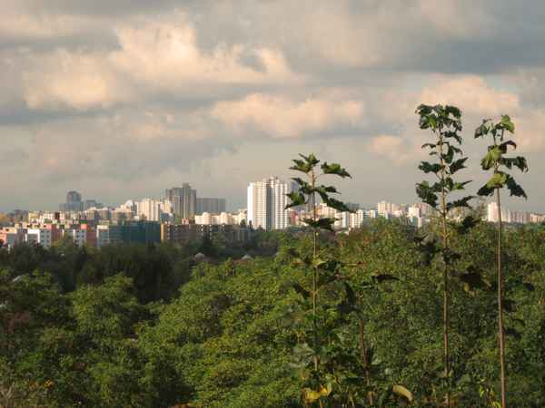 Berlin - Gropiusstadt