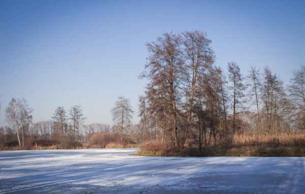 Wintertraum ohne Schnee