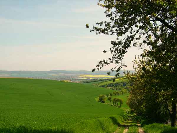 Goldene Aue - Unstruttal