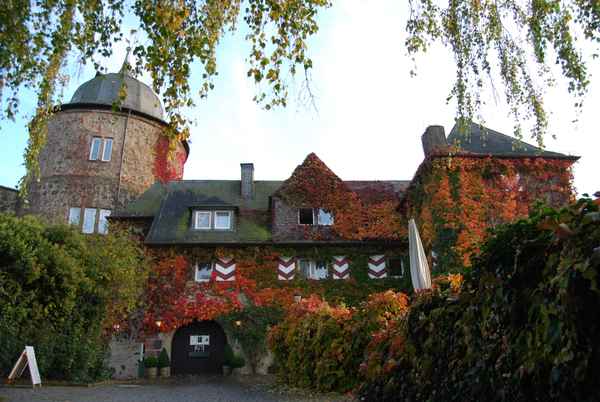 Herbst auf der Sababurg 2