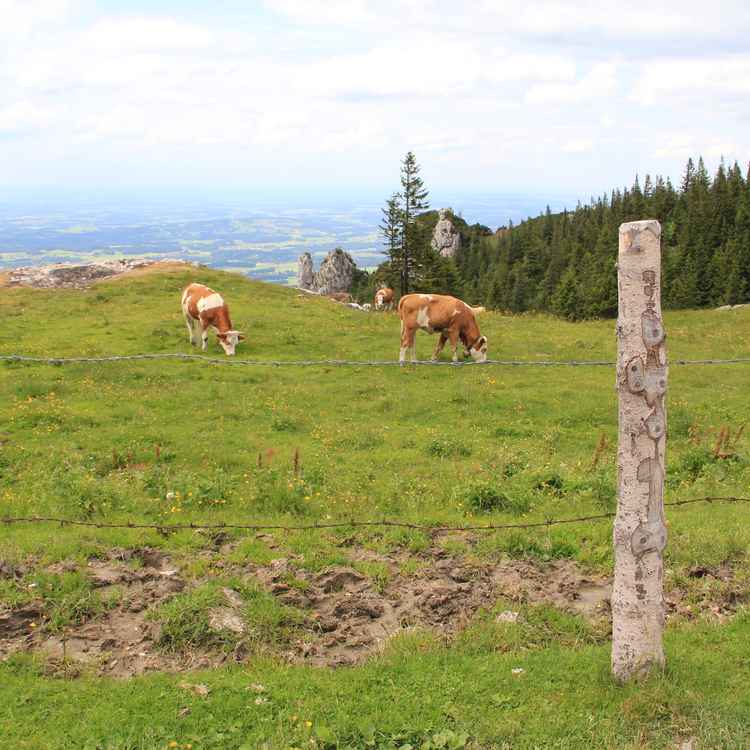 Urlaub in Bayern
